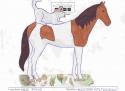 featuring two beautiful animals who happily coexist together. The mare has brown and white patches 